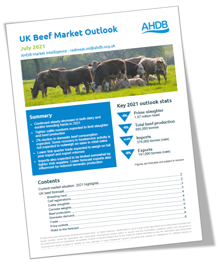 UK Beef Market Outlook. AHDB.
